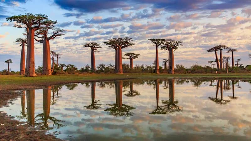 Madagaskar
