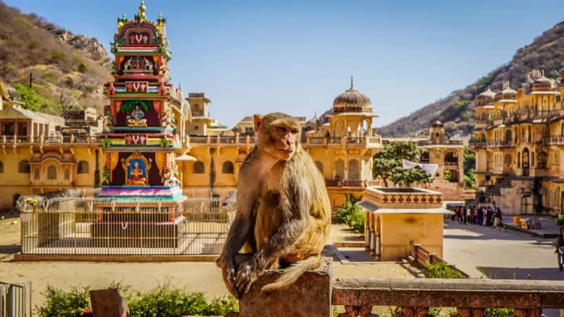 Indien