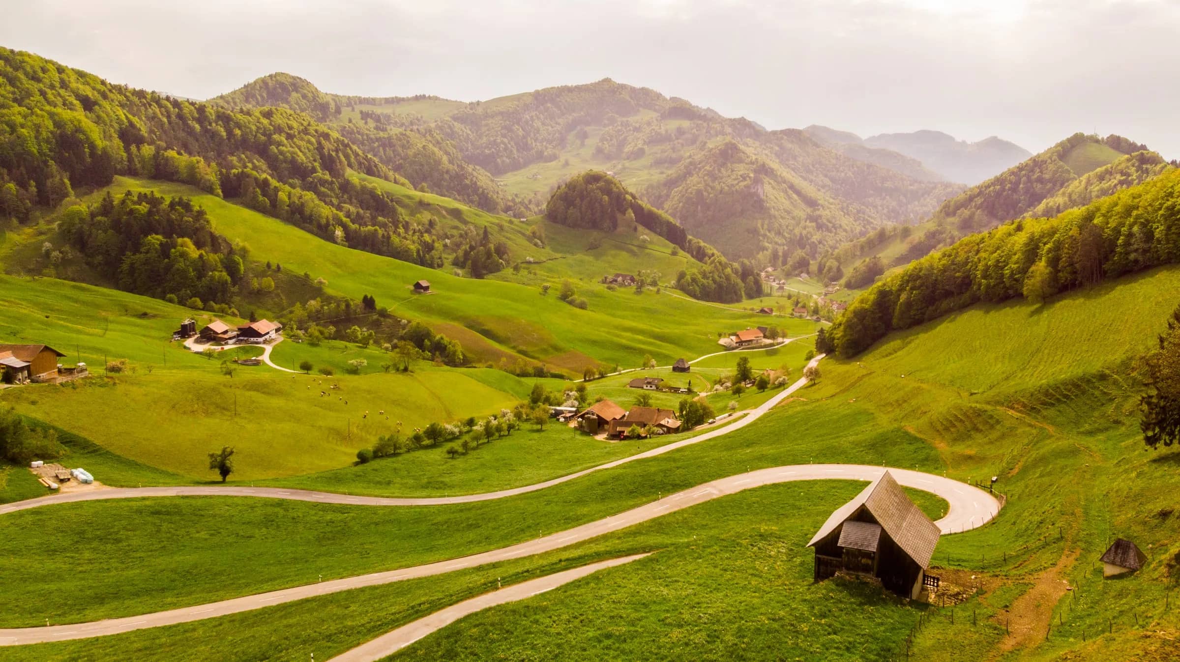 Programme in Schweiz