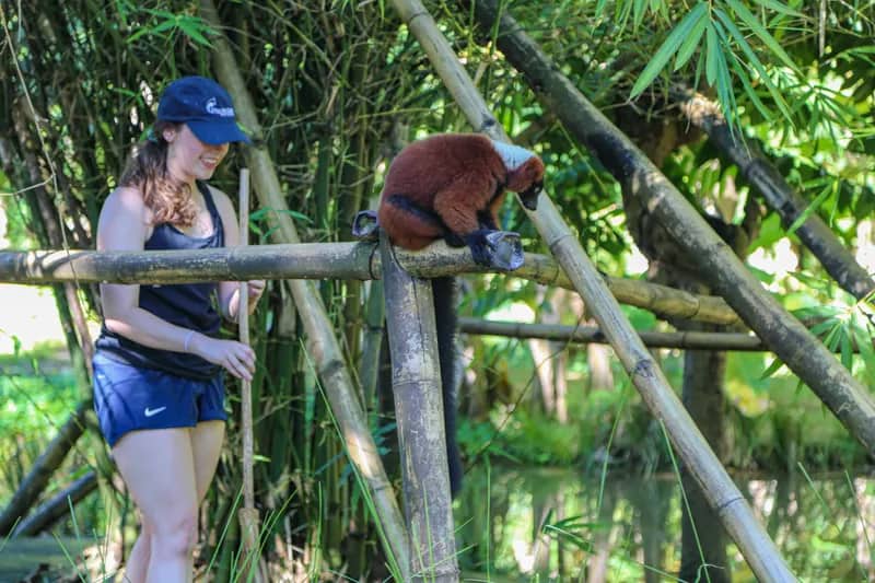 Freiwillige reinigt Gehege im Lemurenprojekt Nosy Be auf Madagaskar