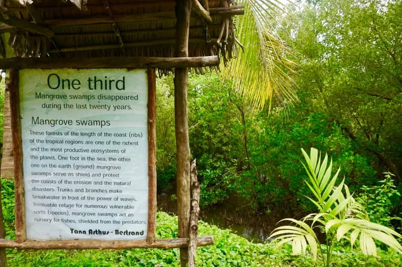 Schild im Mangovenprojekt Nosy Be auf Madagaskar