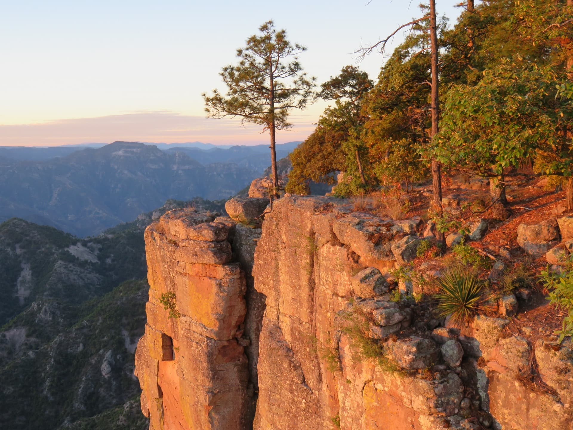 Copper Canyon