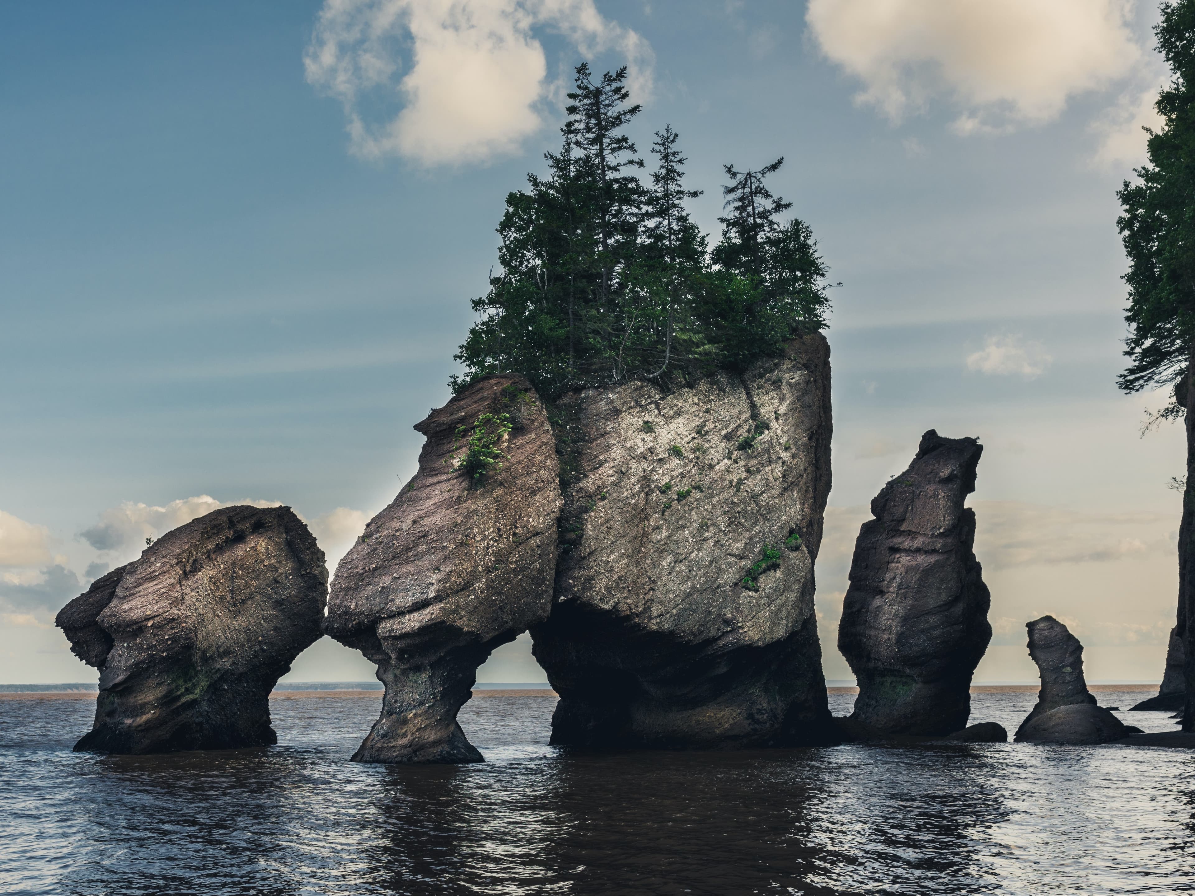 Fundy Nationalpark