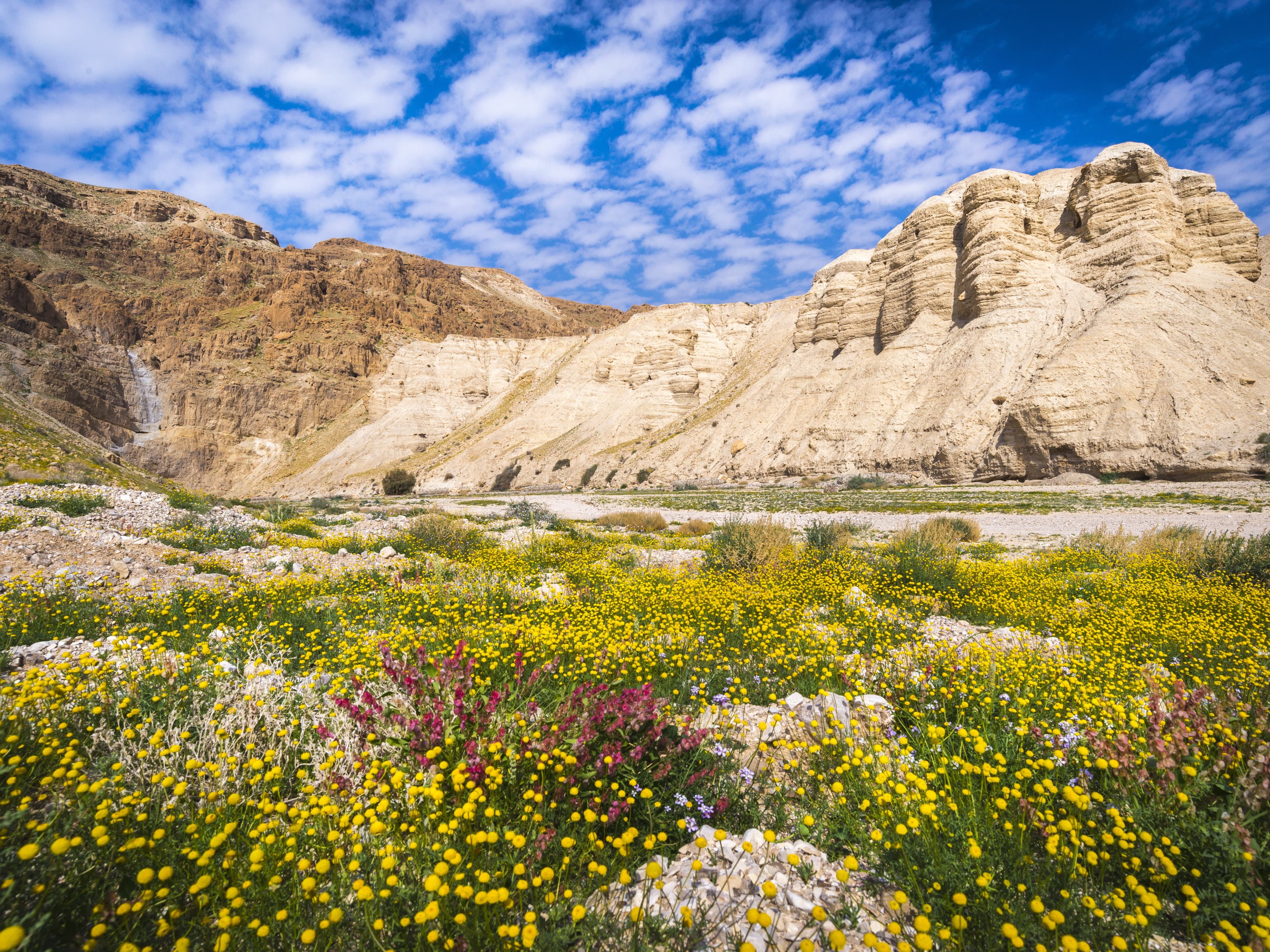 Höhlen von Qumran