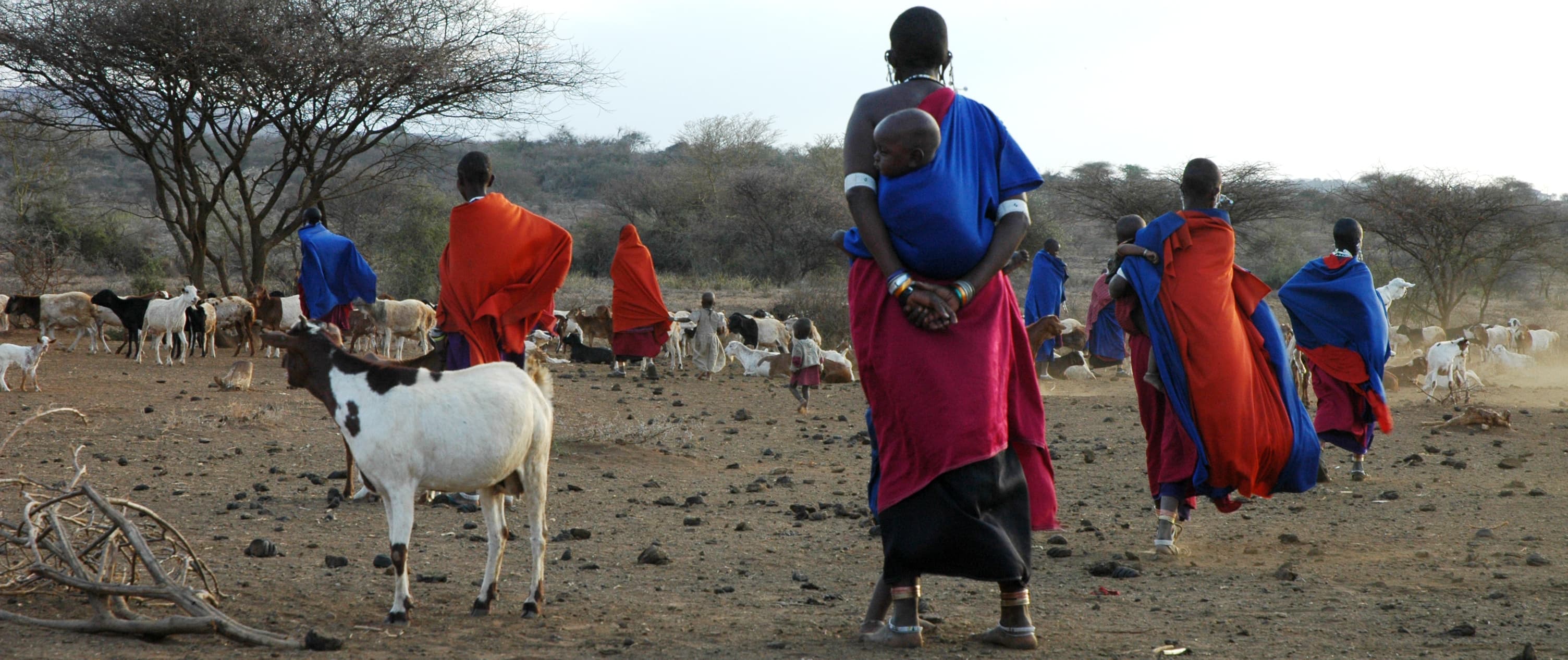 Massai Tribal Immersion