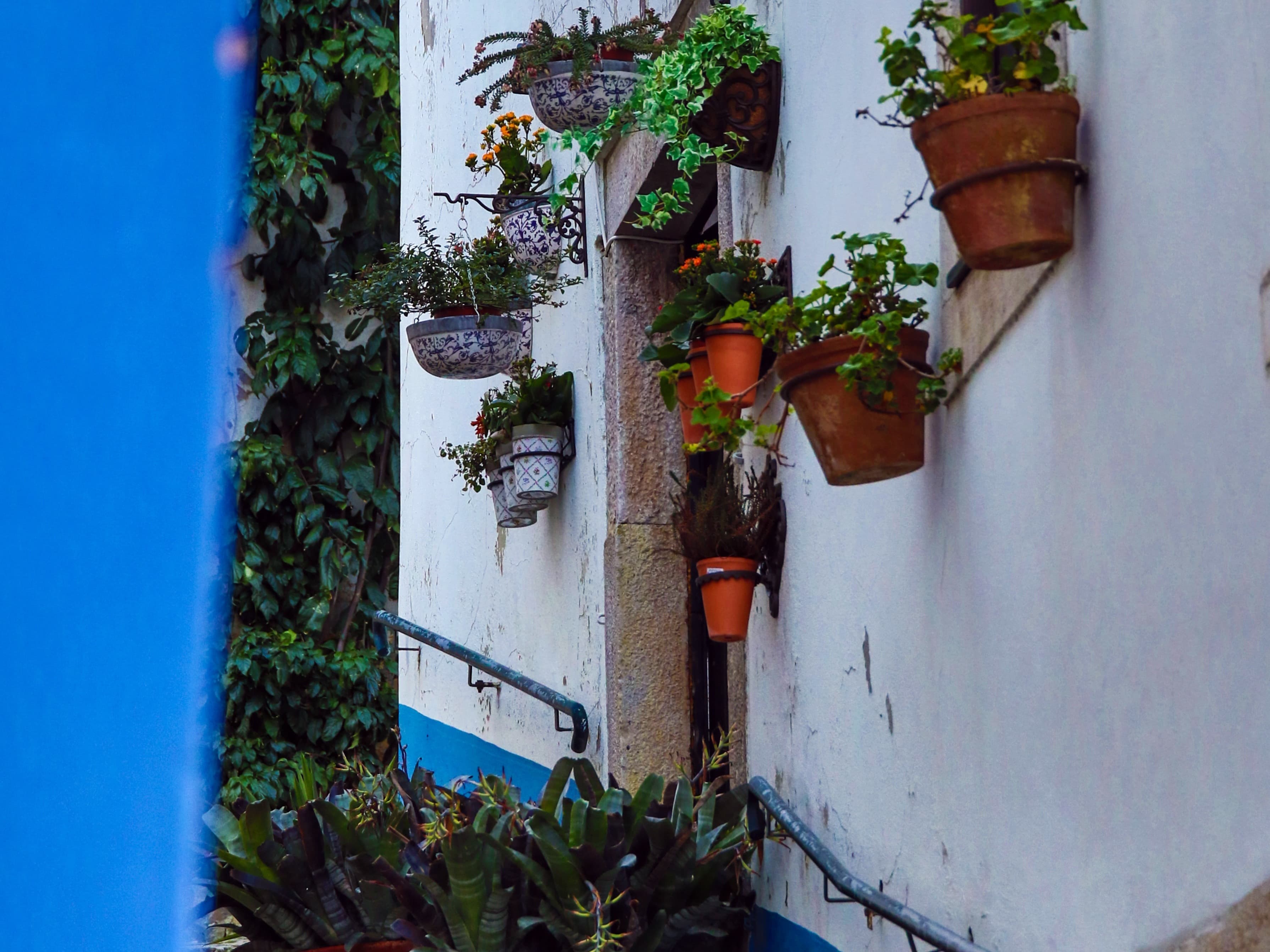 Óbidos