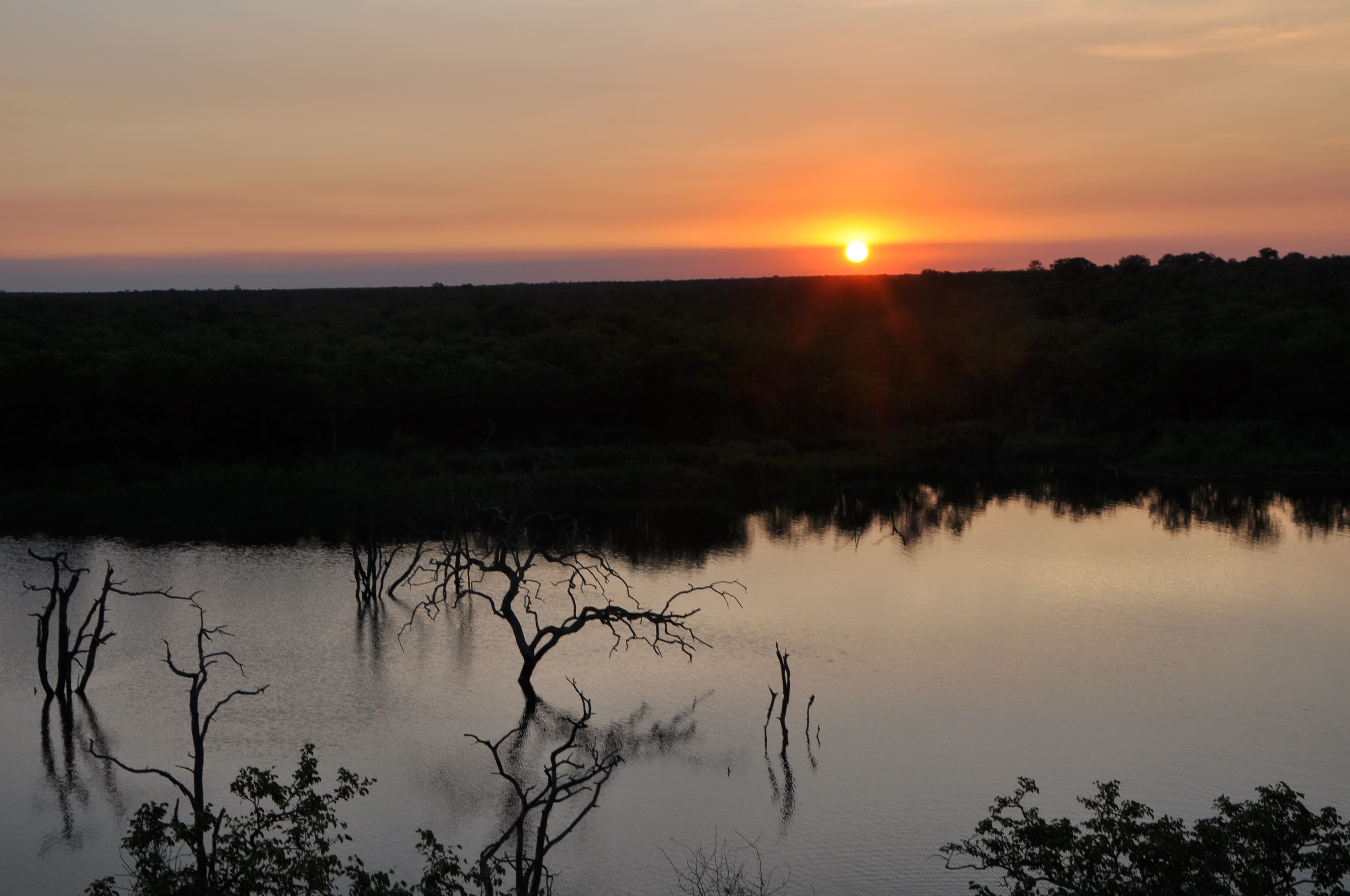 South African Experience
