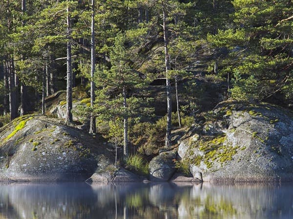 Nationalpark Tiveden