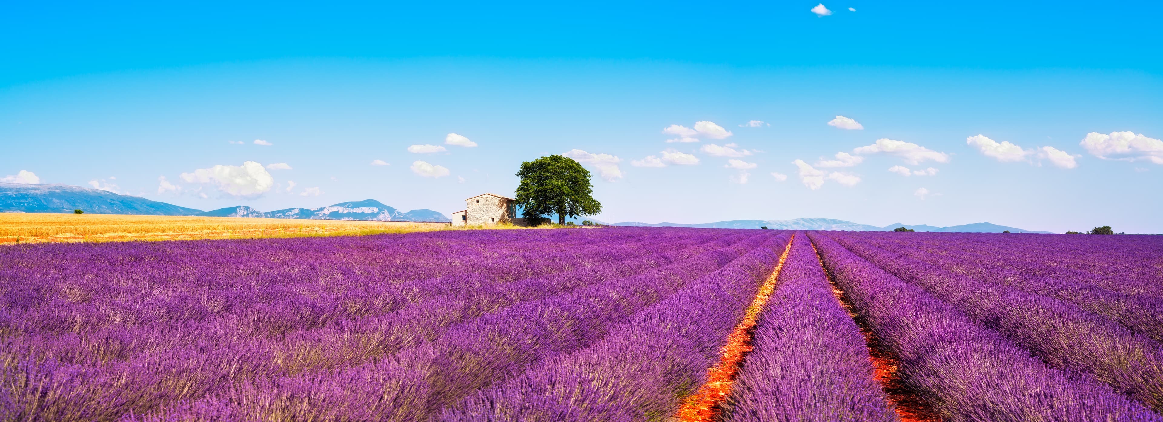 Work & Travel in Frankreich