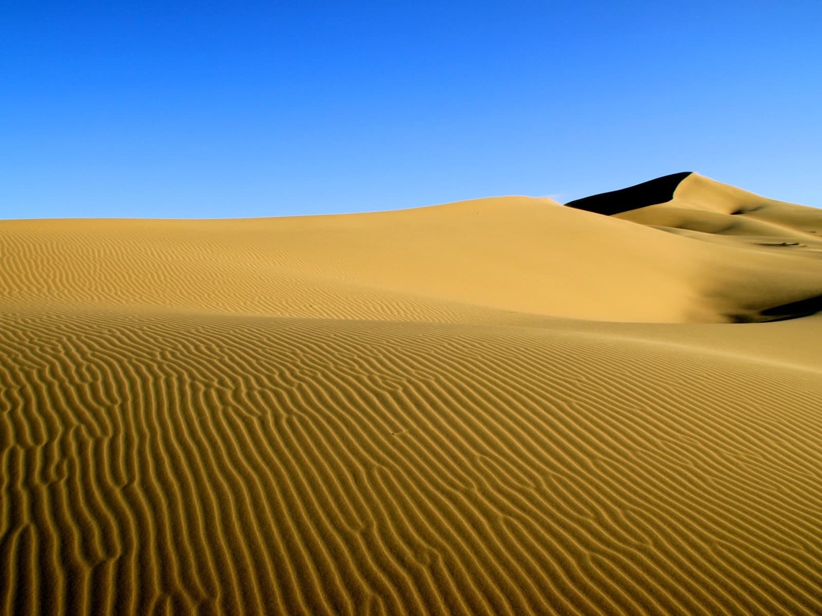 Wüste Gobi