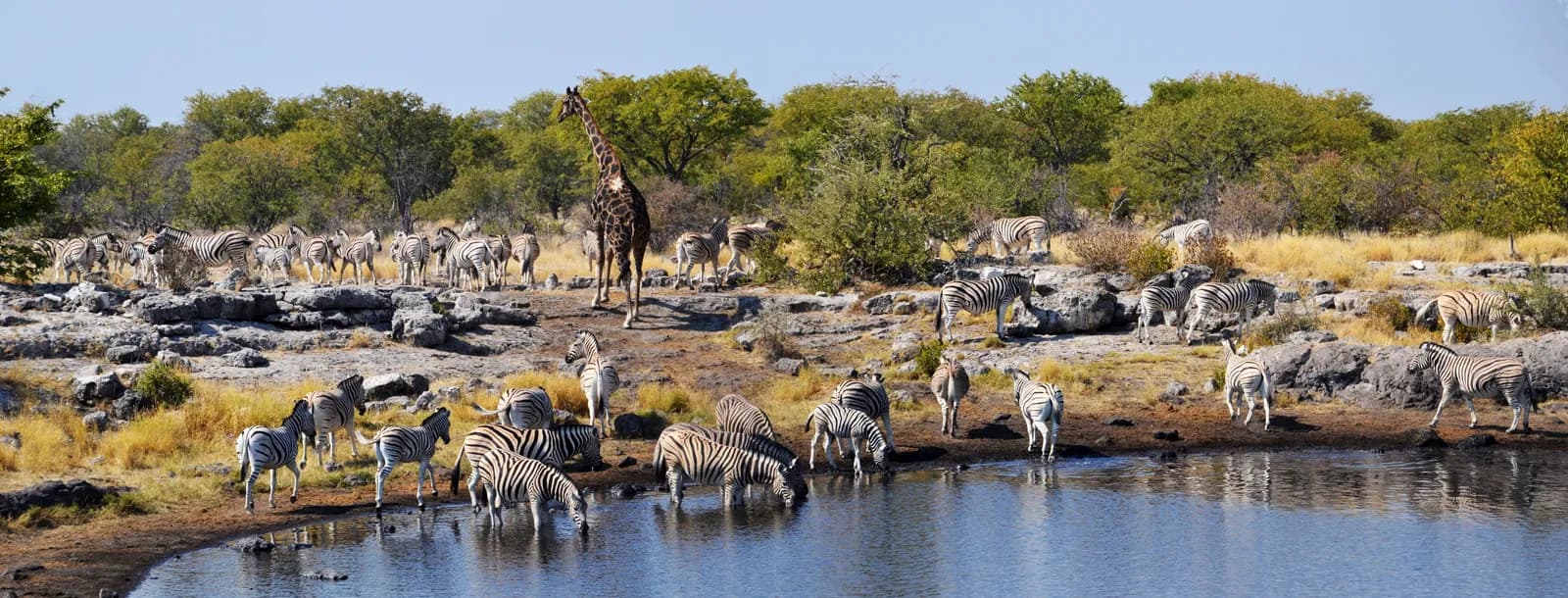 Etosha-Nationalpark