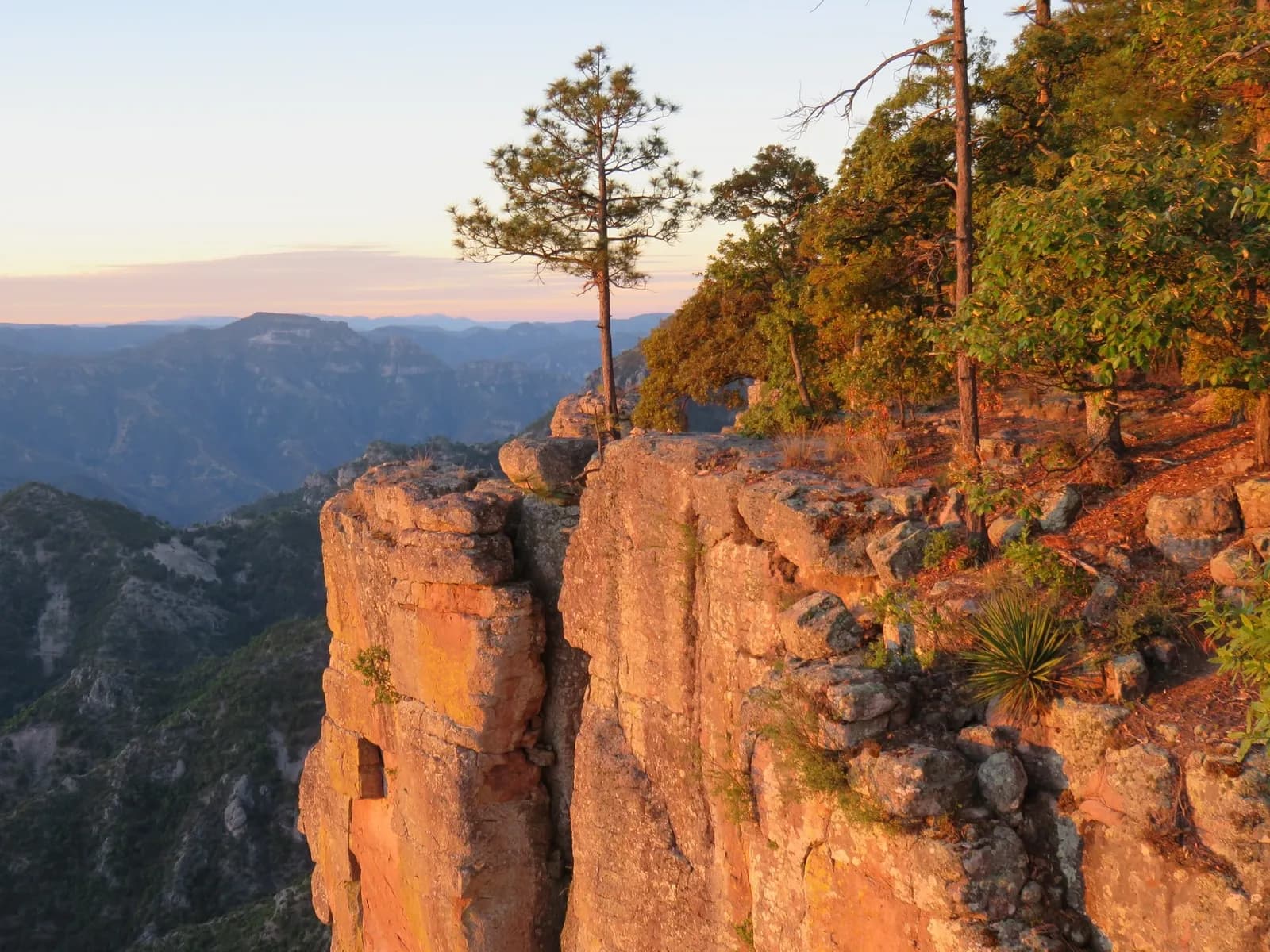 Copper Canyon