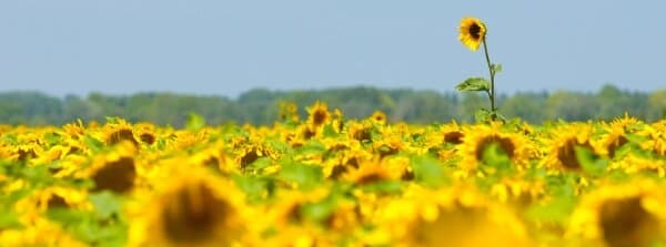 Die 11 wichtigsten Eigenschaften eines Au-Pairs