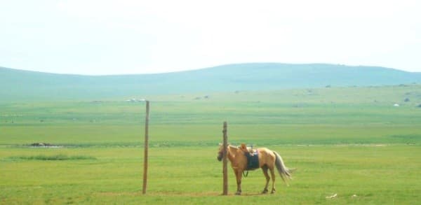 Meikes Erfahrungsbericht - Freiwilligenarbeit in der Mongolei, reiten