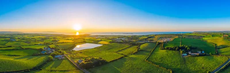 Landwirtschaftliches Praktikum in Irland