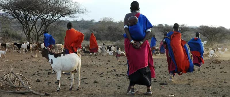 Massai Tribal Immersion